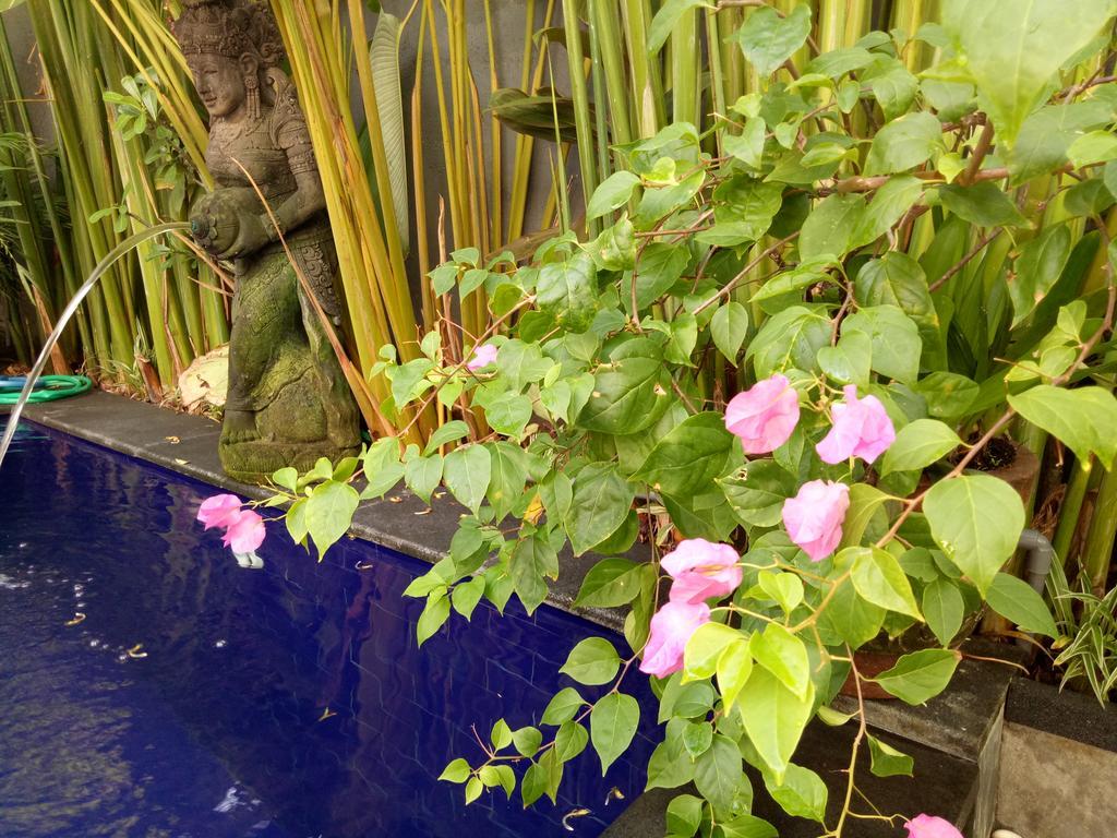 Villa Esa Ubud מראה חיצוני תמונה